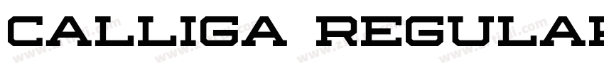 Calliga Regular字体转换 Calliga Regular字体转换